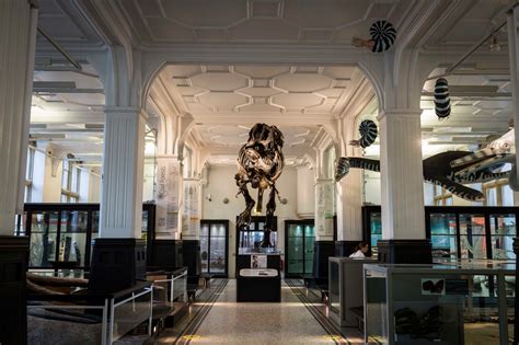 Das Manchester Museum: Ein Fenster zur Weltgeschichte und zum Wunder der Natur!