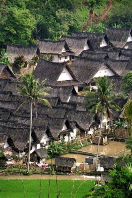 Der Kampung Naga: Ein verstecktes Juwel traditioneller Kultur und Architektur in Yogyakarta!